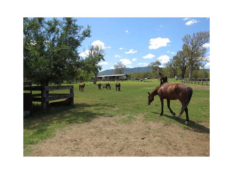 9427 Old Grafton Road, Newton Boyd NSW 2370