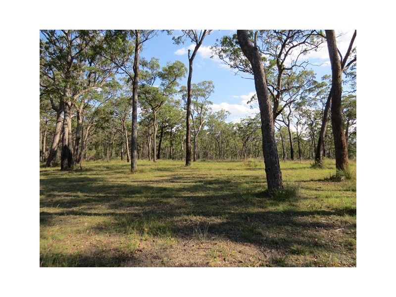 805 Lower Kangaroo Creek Road, Coutts Crossing NSW 2460