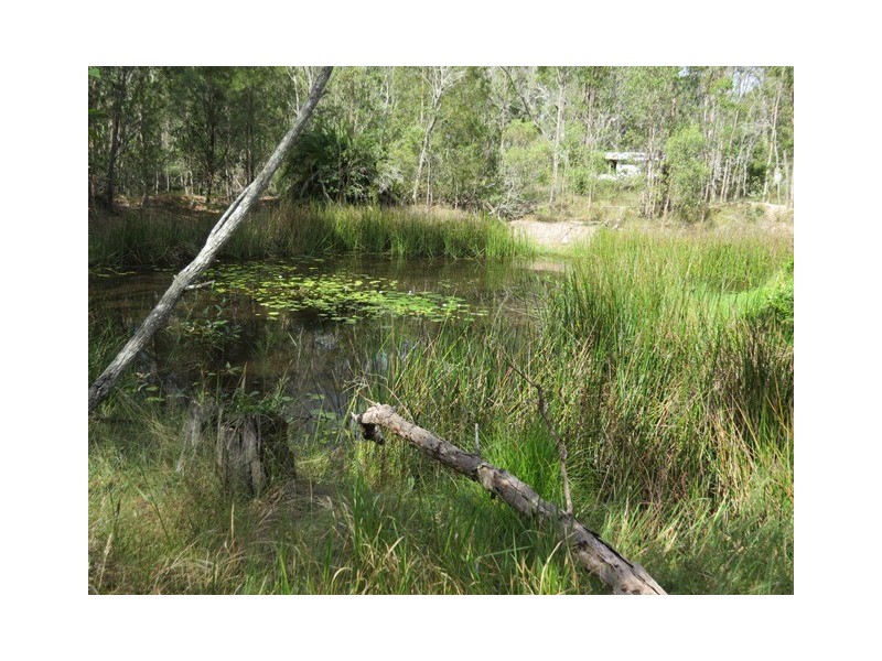 270 Tanglewood Road, Lawrence NSW 2460