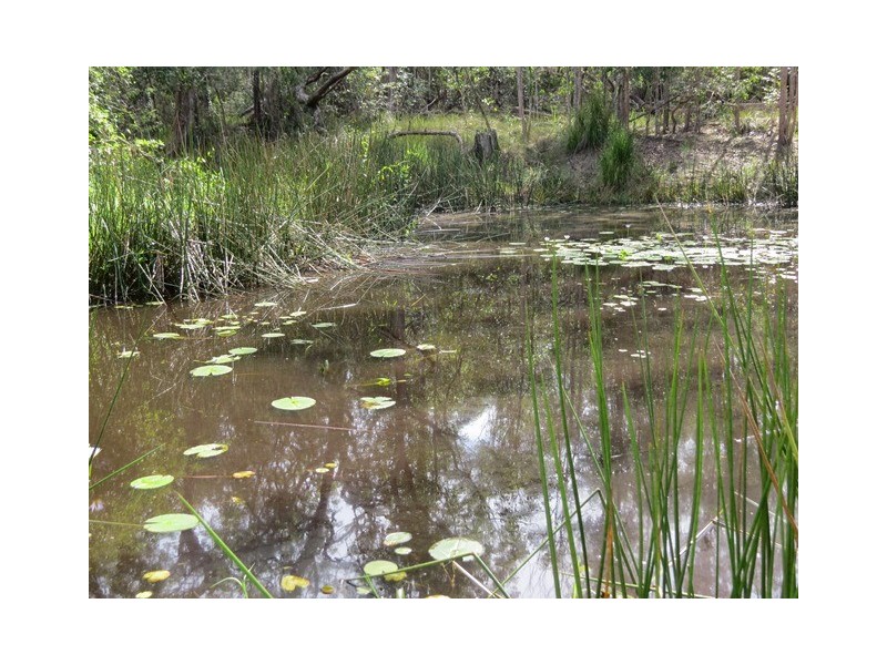 270 Tanglewood Road, Lawrence NSW 2460