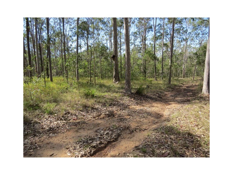 270 Tanglewood Road, Lawrence NSW 2460