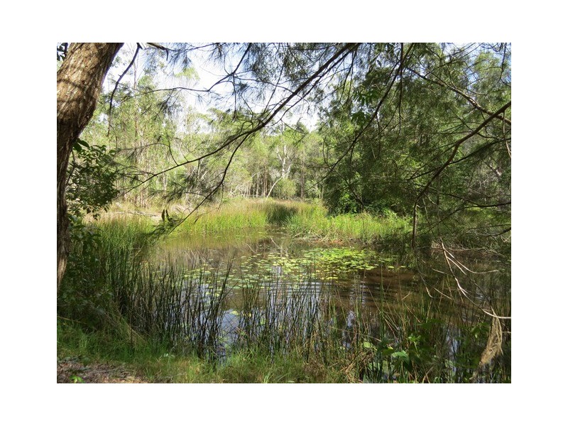 270 Tanglewood Road, Lawrence NSW 2460