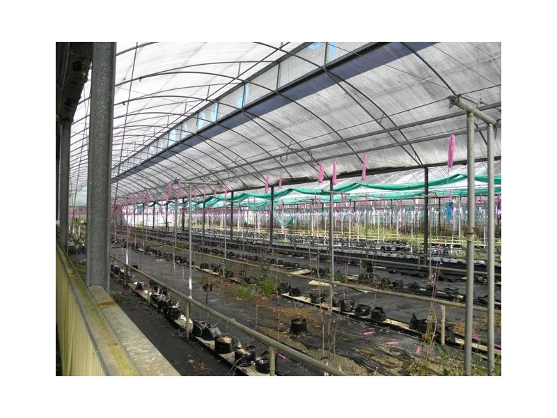 7192 Pacific Highway, Glenugie NSW 2460