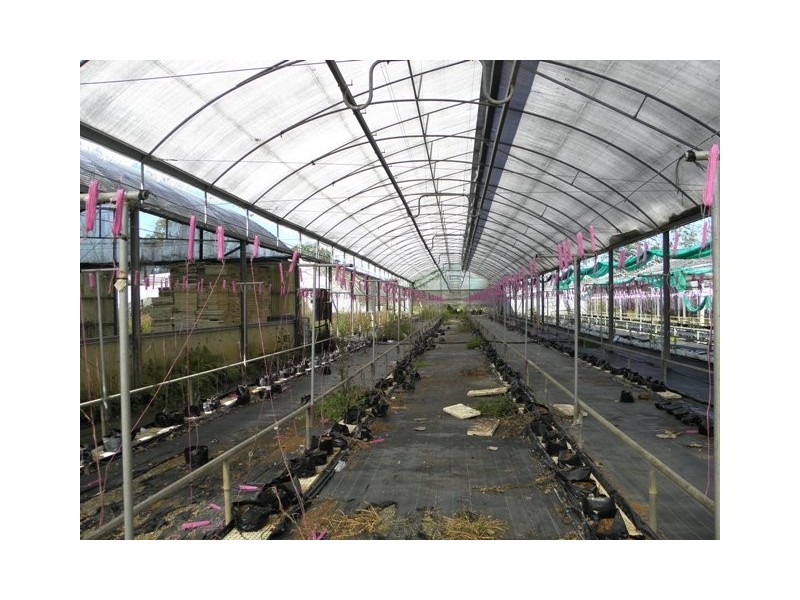 7192 Pacific Highway, Glenugie NSW 2460