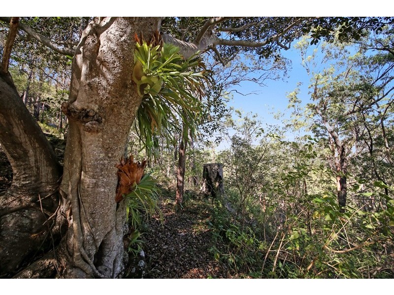 Lot 2761 Kangaroo Creek Road, Kangaroo Creek NSW 2460