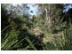 Lot 2761 Kangaroo Creek Road, Kangaroo Creek NSW 2460