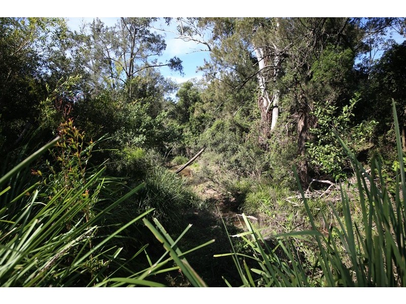 Lot 2761 Kangaroo Creek Road, Kangaroo Creek NSW 2460