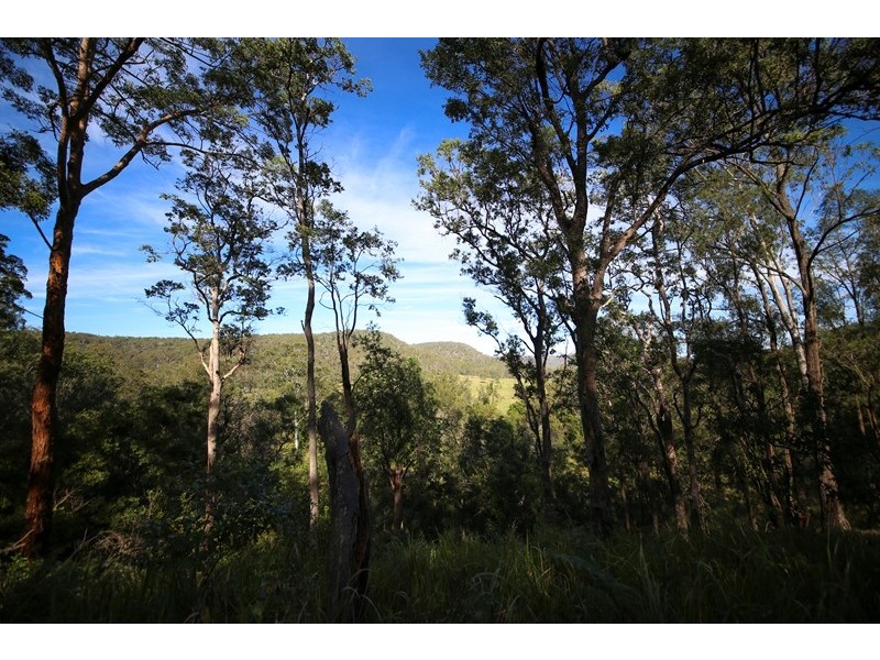 Lot 2761 Kangaroo Creek Road, Kangaroo Creek NSW 2460