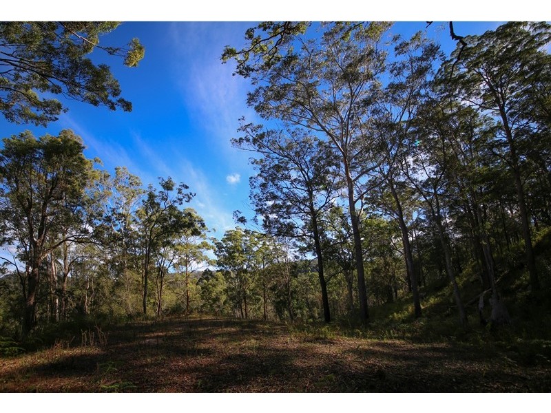 Lot 2761 Kangaroo Creek Road, Kangaroo Creek NSW 2460