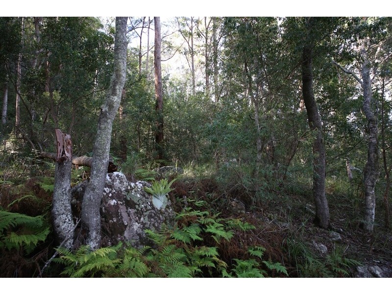 Lot 2761 Kangaroo Creek Road, Kangaroo Creek NSW 2460