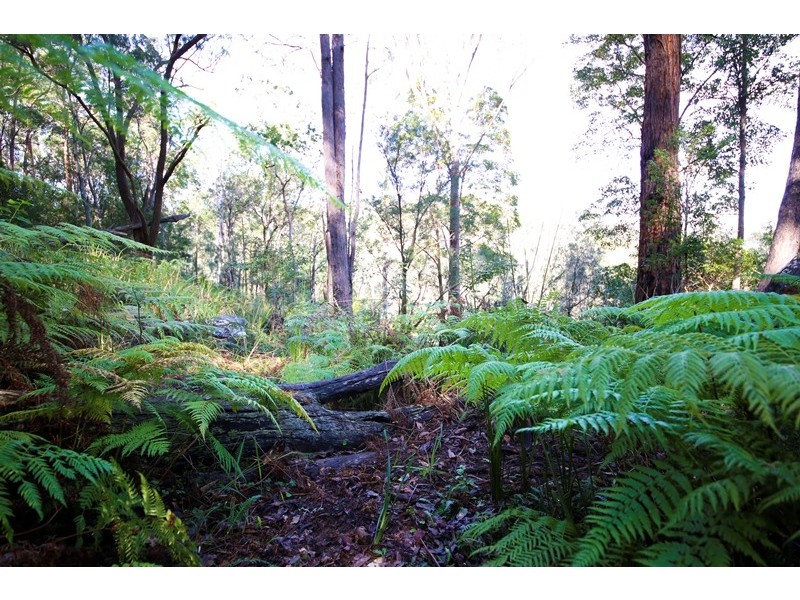 Lot 2761 Kangaroo Creek Road, Kangaroo Creek NSW 2460