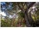 Lot 2761 Kangaroo Creek Road, Kangaroo Creek NSW 2460