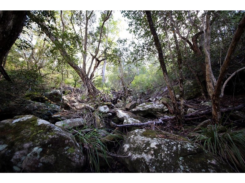 Lot 2761 Kangaroo Creek Road, Kangaroo Creek NSW 2460