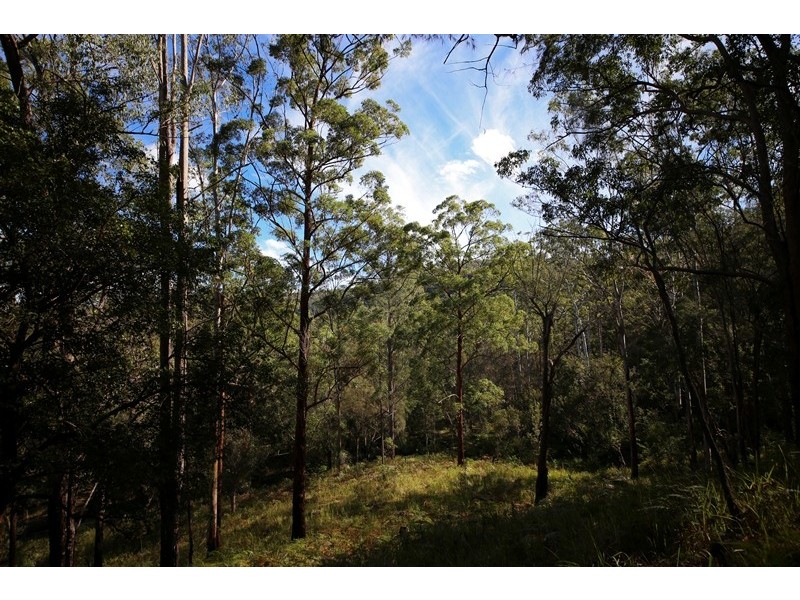 Lot 2761 Kangaroo Creek Road, Kangaroo Creek NSW 2460