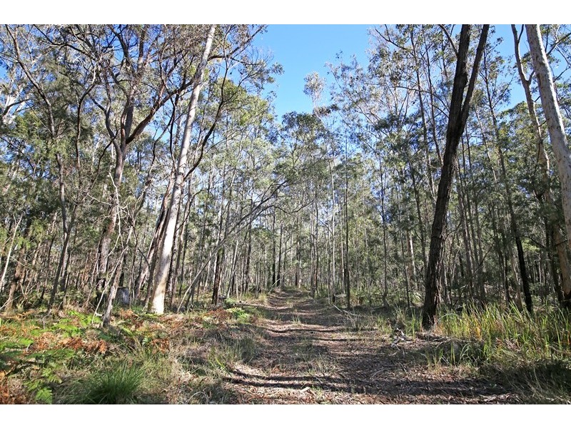 26 Citris Drive, Wells Crossing NSW 2460