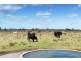 53 Phelps Lane, Cowper NSW 2460
