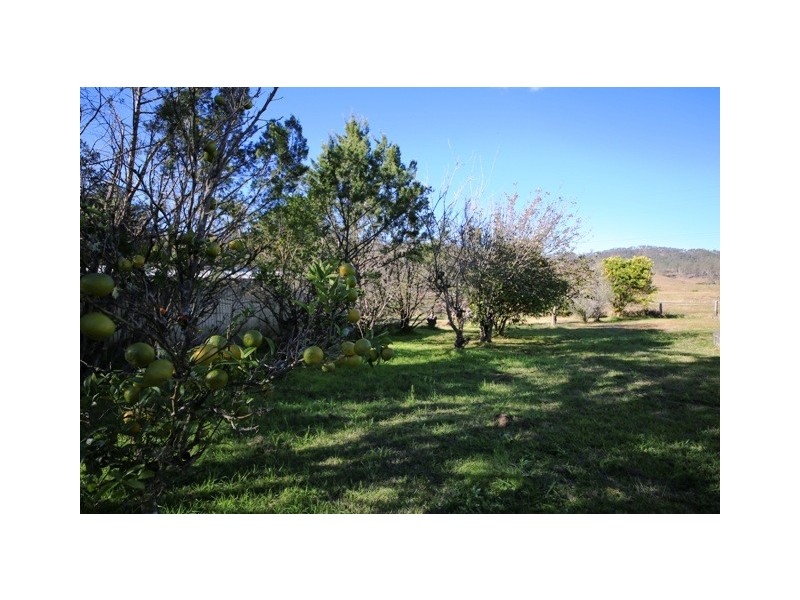 3962 Armidale Road, Nymboida NSW 2460