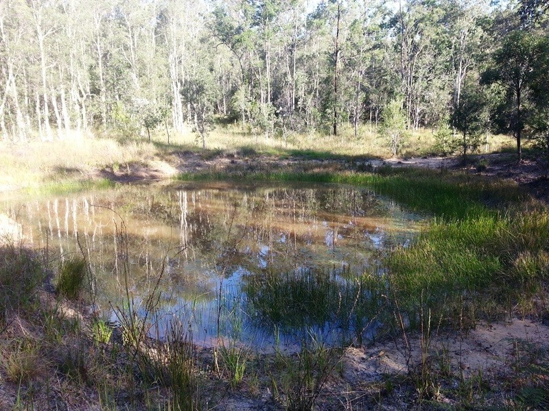 490 (Lot 205) Greberts Road, Stockyard Creek NSW 2460