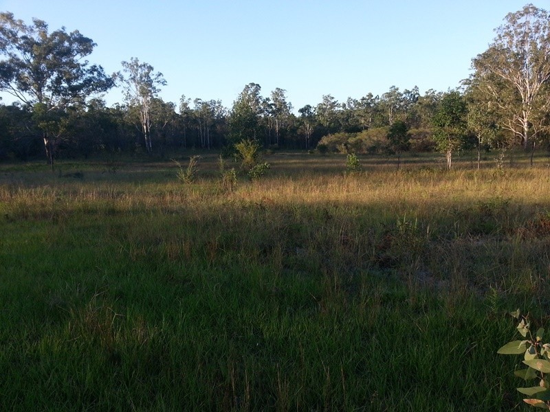 490 (Lot 205) Greberts Road, Stockyard Creek NSW 2460
