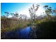 4925 Pacific Highway, Halfway Creek NSW 2460