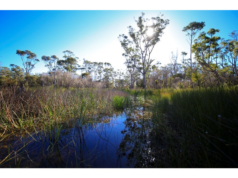 4925 Pacific Highway, Halfway Creek NSW 2460