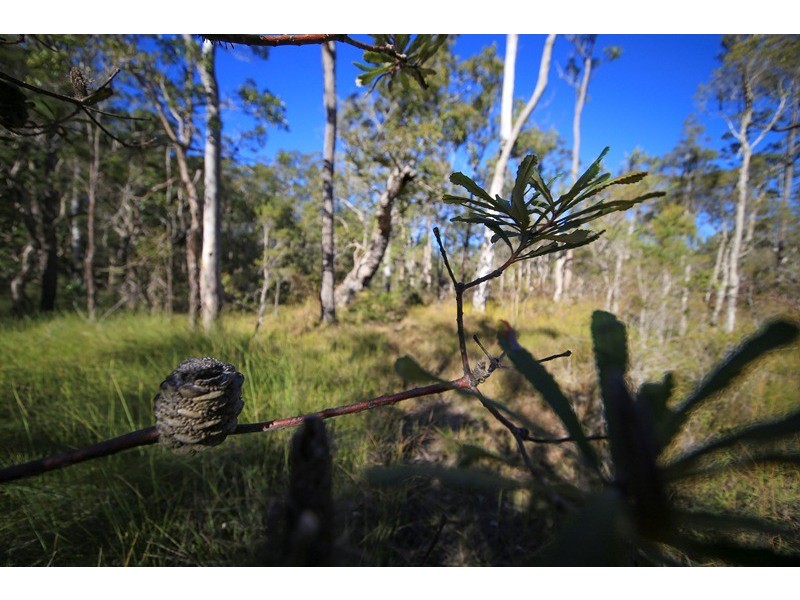 4925 Pacific Highway, Halfway Creek NSW 2460