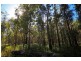4925 Pacific Highway, Halfway Creek NSW 2460