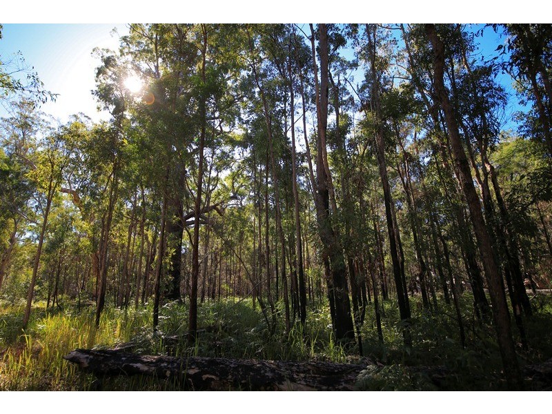 4925 Pacific Highway, Halfway Creek NSW 2460