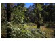 4925 Pacific Highway, Halfway Creek NSW 2460