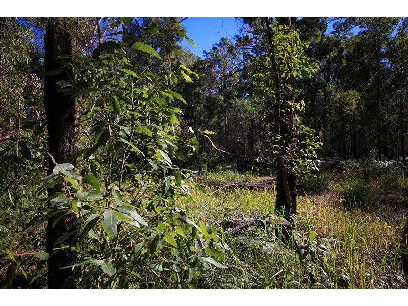 4925 Pacific Highway, Halfway Creek NSW 2460