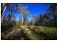 4925 Pacific Highway, Halfway Creek NSW 2460