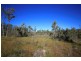 4925 Pacific Highway, Halfway Creek NSW 2460