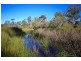 4925 Pacific Highway, Halfway Creek NSW 2460