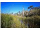 4925 Pacific Highway, Halfway Creek NSW 2460