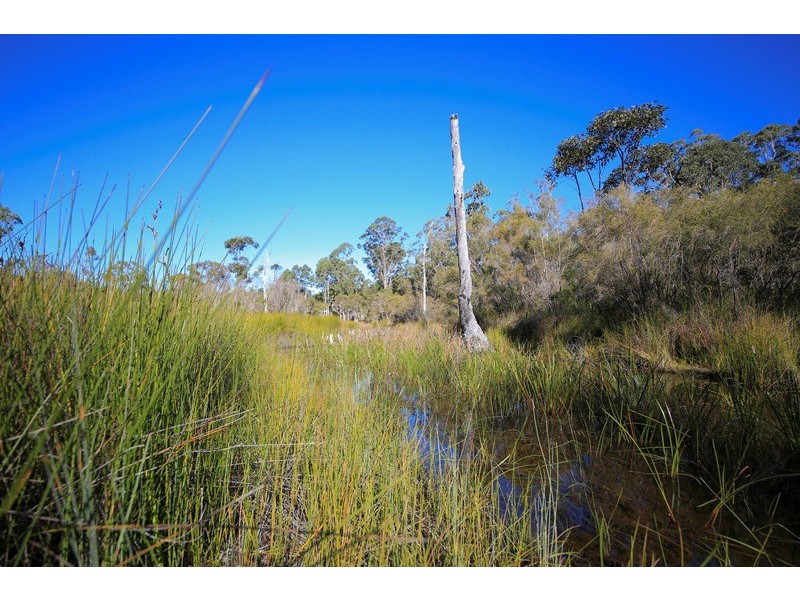4925 Pacific Highway, Halfway Creek NSW 2460
