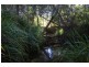 4925 Pacific Highway, Halfway Creek NSW 2460