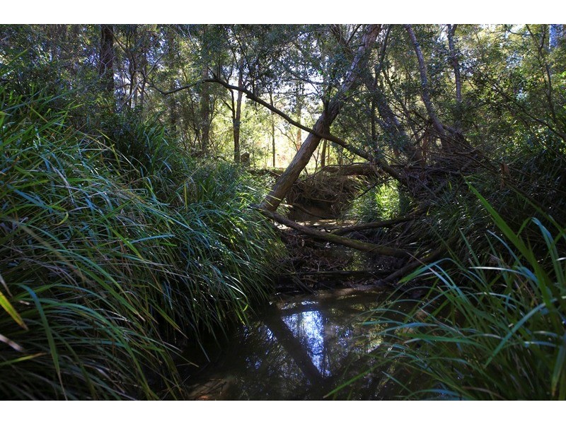 4925 Pacific Highway, Halfway Creek NSW 2460