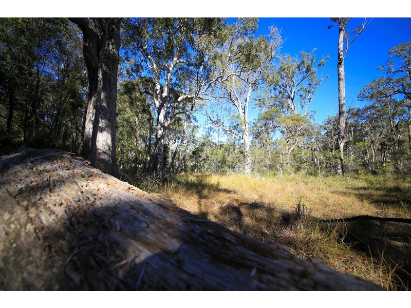 4925 Pacific Highway, Halfway Creek NSW 2460