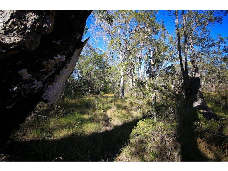 4925 Pacific Highway, Halfway Creek NSW 2460