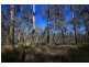 Lot 5 Hampton Road, Waterview Heights NSW 2460