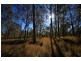 Lot 5 Hampton Road, Waterview Heights NSW 2460