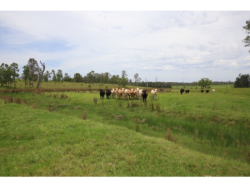 3/109 Ellem Lane, The Whiteman NSW 2460