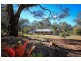 21 Bettong Drive, Coutts Crossing NSW 2460