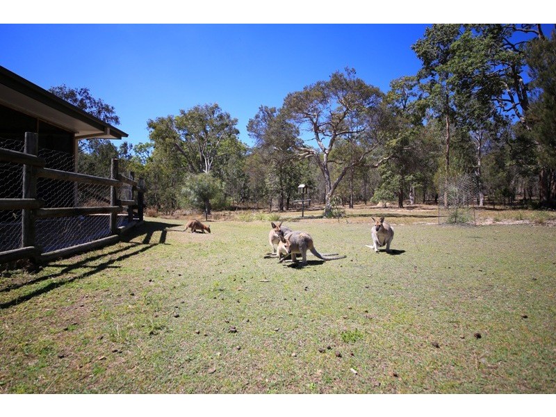 1546 Stockyard Creek Road, Stockyard Creek NSW 2460