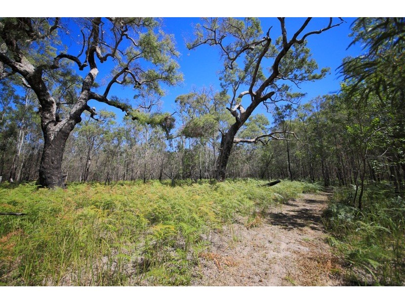 1546 Stockyard Creek Road, Stockyard Creek NSW 2460