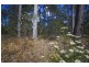 7 West Lanitza, Lanitza NSW 2460