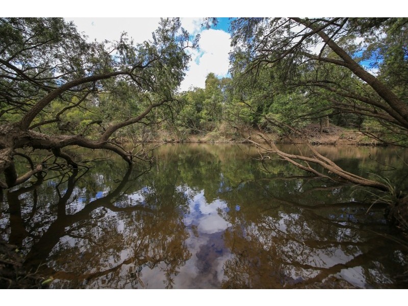 103 Orara Downs Lane, Levenstrath NSW 2460