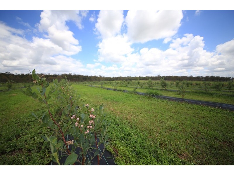 103 Orara Downs Lane, Levenstrath NSW 2460