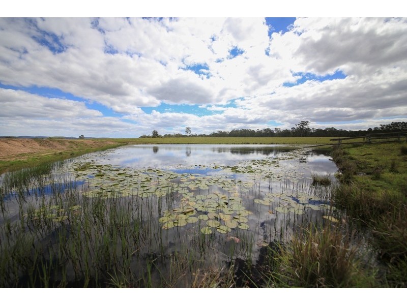 103 Orara Downs Lane, Levenstrath NSW 2460