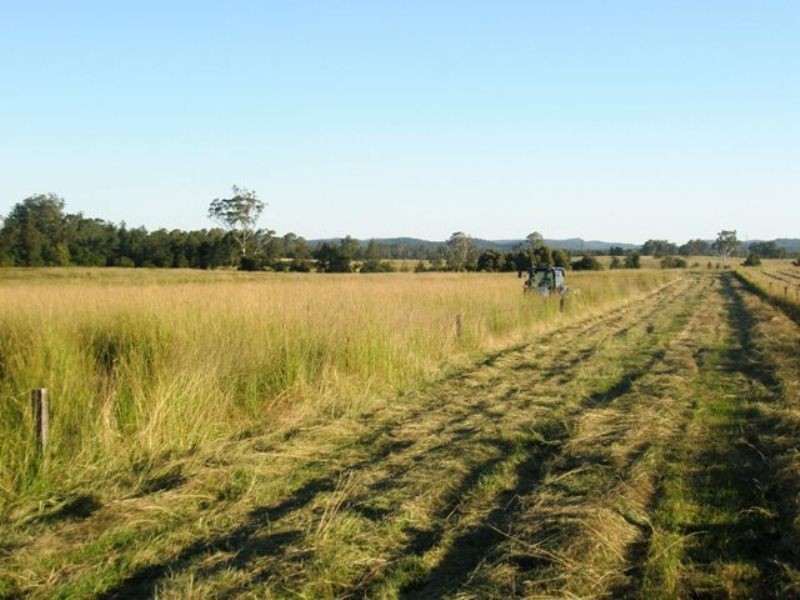 103 Orara Downs Lane, Levenstrath NSW 2460